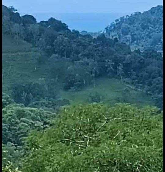 140 Hectare Farm near Quepos. Property For Sale, Real Estate