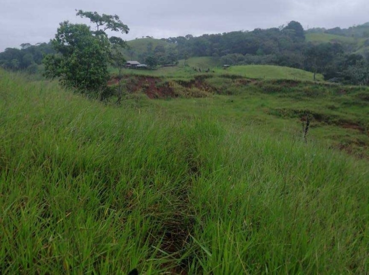 170 Hectares Between Jaco & Parrita. For Sale. Real Estate