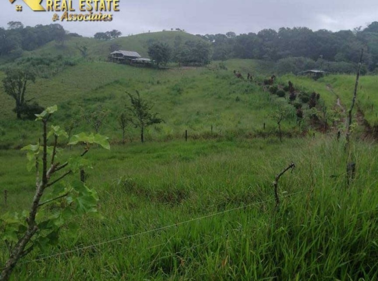 170 Hectares Between Jaco & Parrita. For Sale. Real Estate