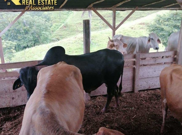 170 Hectares Between Jaco & Parrita. For Sale. Real Estate