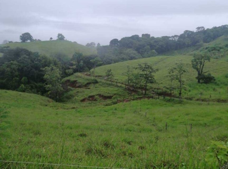 170 Hectares Between Jaco & Parrita. For Sale. Real Estate