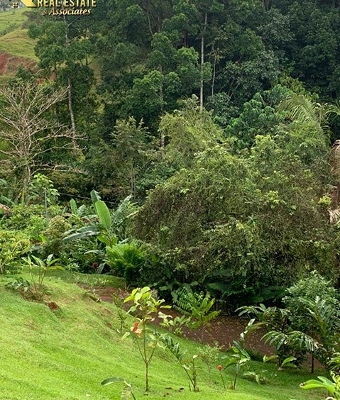 4.4 Hectares in Bijagual with Small Home, For Sale, Realty Group Costa Rica