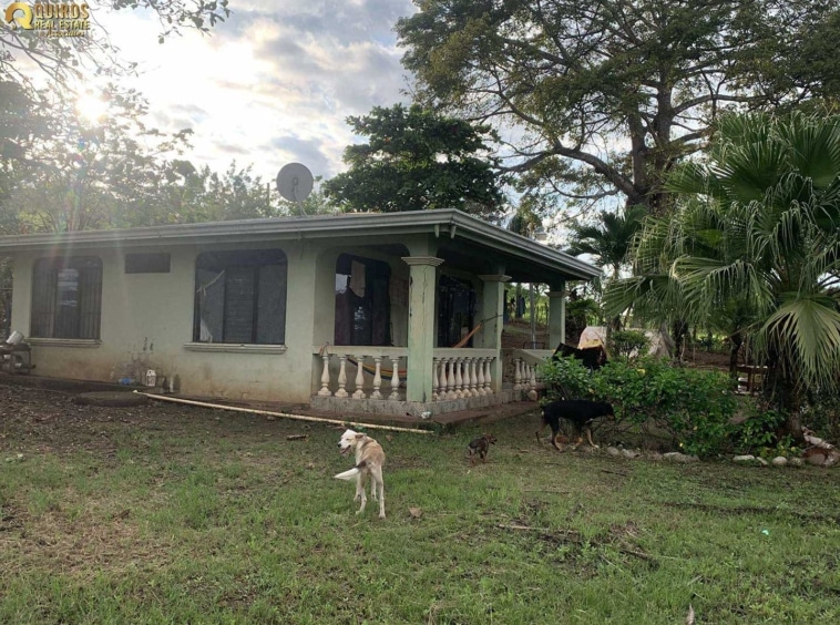 8.5 Hectare Mango Farm in Lagunillas. Property For Sale, Real Estate