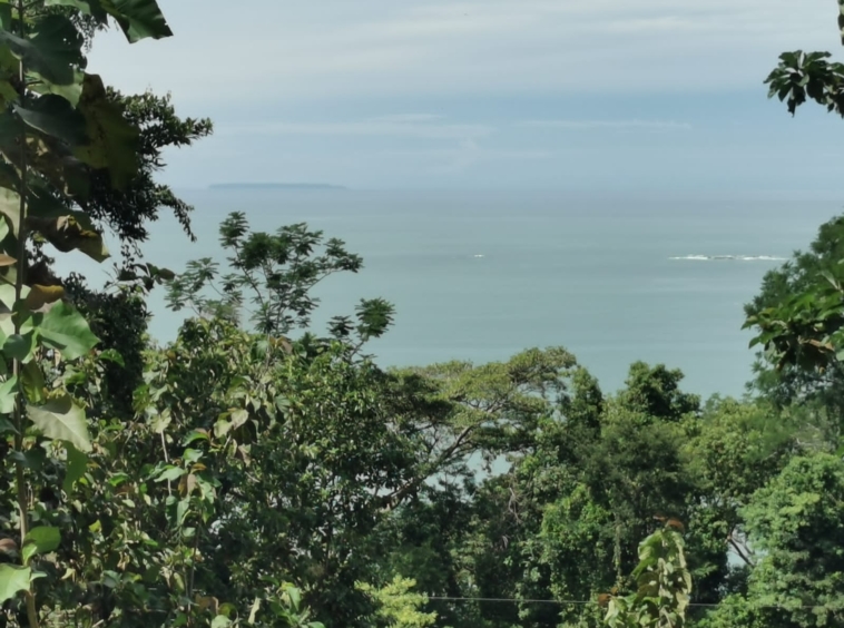 10 Hectare Lot with 200° Ocean Views in Uvita. Property For Sale, Real Estate