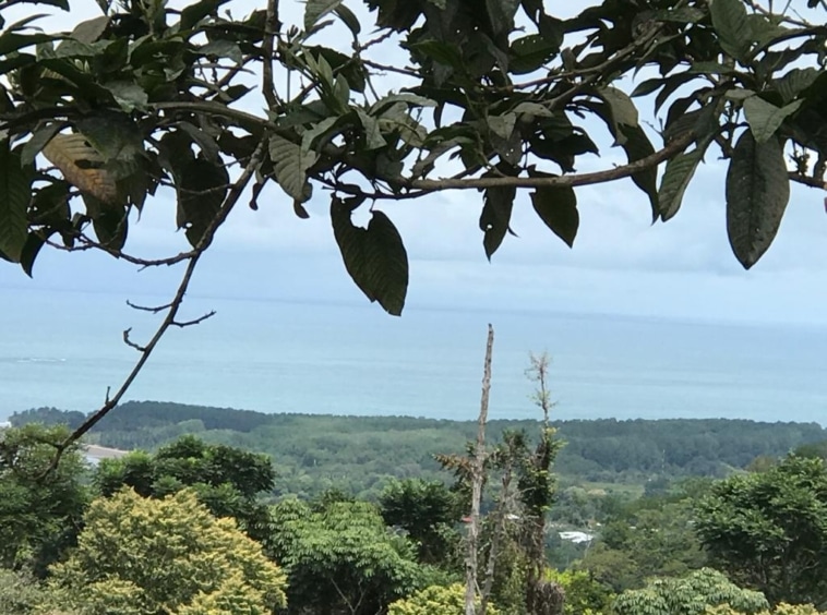 10 Hectare Lot with 200° Ocean Views in Uvita. Property For Sale, Real Estate