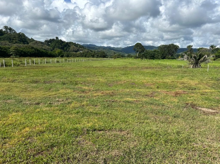 13 Hectare Divided Oceanfront Lots in Playa Hermosa. Property For Sale, Real Estate