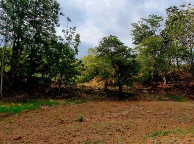 3 Hectare Lot in Esterillos Oeste. Property For Sale, Real Estate