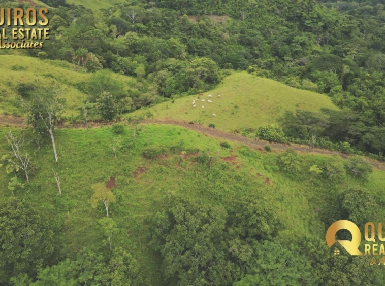 36 Hectare Farm Land near Jaco. Property For Sale, Real Estate