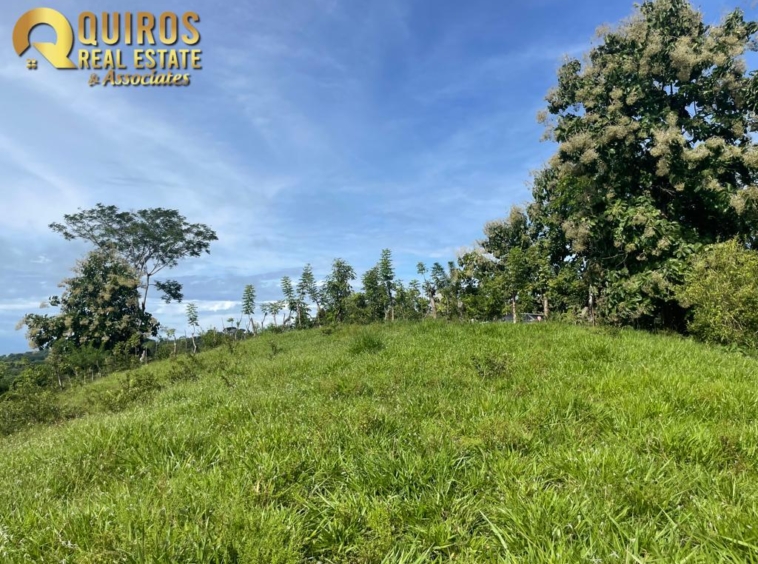 36 Hectare Farm Land near Jaco. Property For Sale, Real Estate