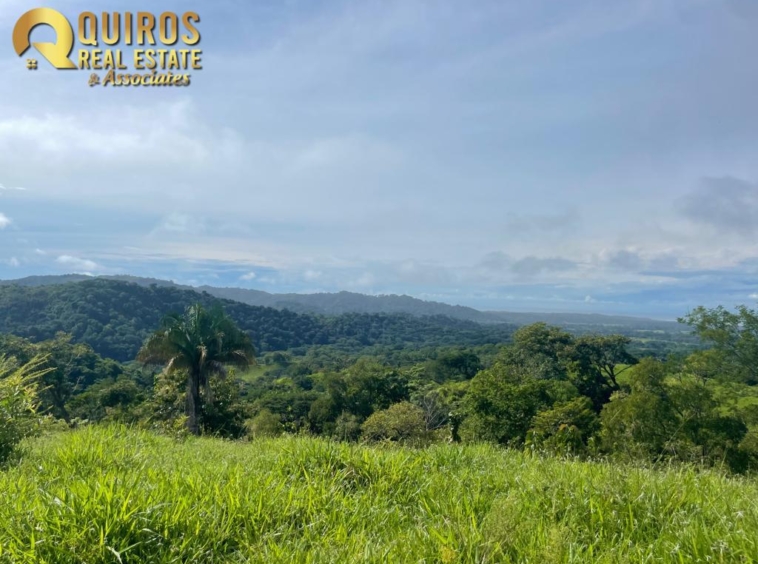 36 Hectare Farm Land near Jaco. Property For Sale, Real Estate