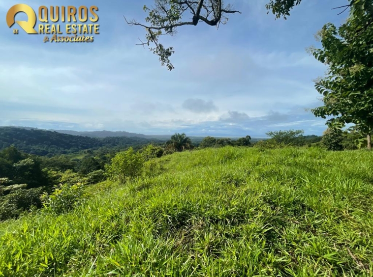 36 Hectare Farm Land near Jaco. Property For Sale, Real Estate