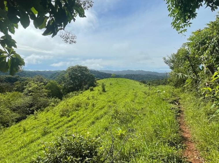 36 Hectare Farm Land near Jaco. Property For Sale, Real Estate