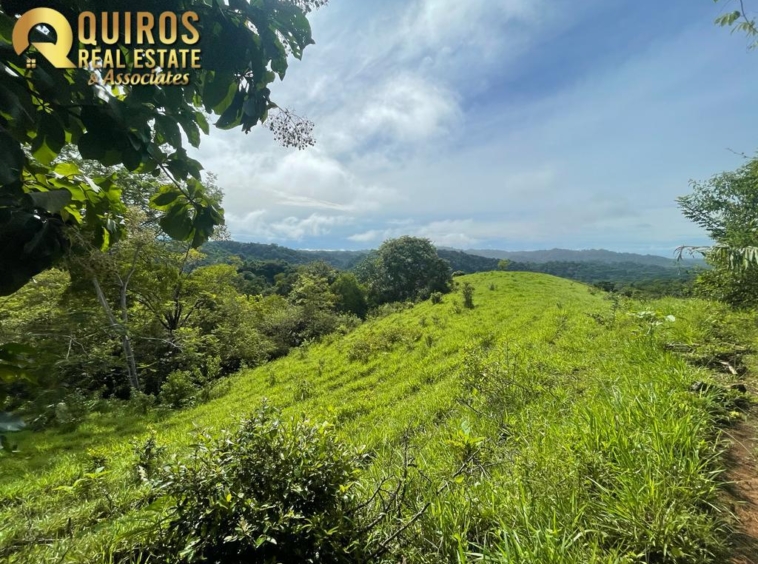 36 Hectare Farm Land near Jaco. Property For Sale, Real Estate