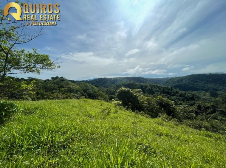 36 Hectare Farm Land near Jaco. Property For Sale, Real Estate