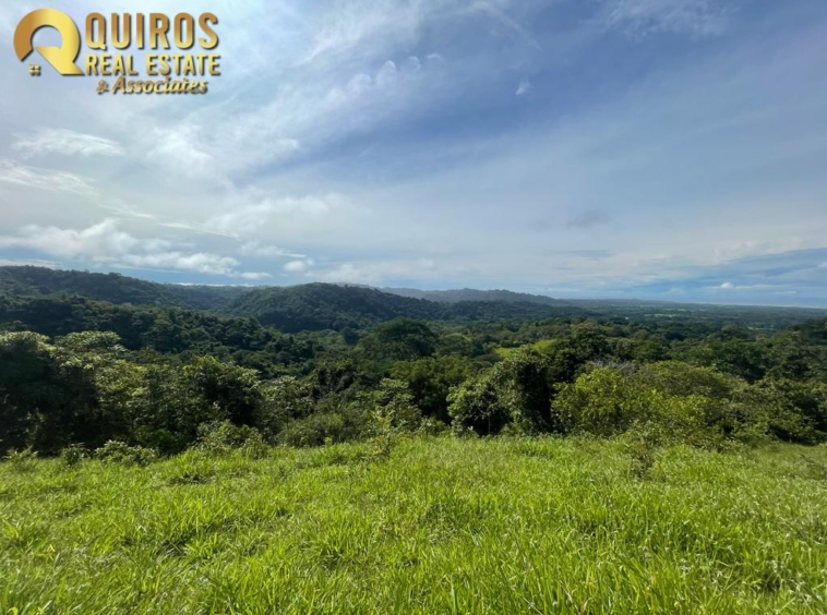 36 Hectare Farm Land near Jaco. Property For Sale, Real Estate