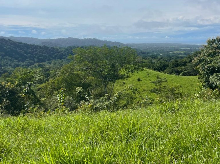 36 Hectare Farm Land near Jaco. Property For Sale, Real Estate