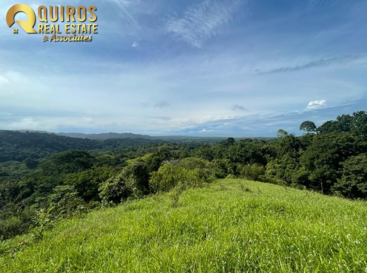 36 Hectare Farm Land near Jaco. Property For Sale, Real Estate