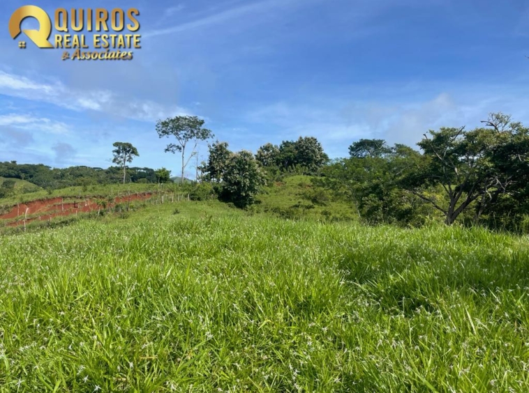 36 Hectare Farm Land near Jaco. Property For Sale, Real Estate