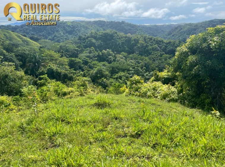 36 Hectare Farm Land near Jaco. Property For Sale, Real Estate