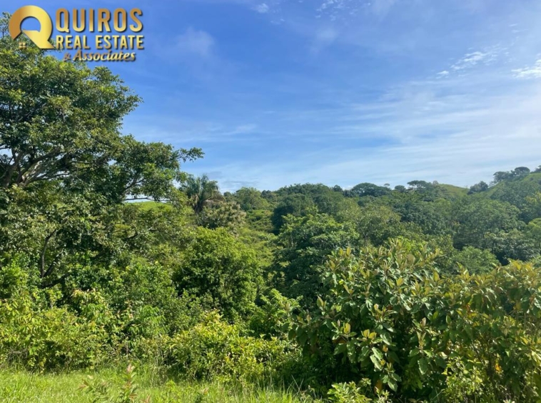 36 Hectare Farm Land near Jaco. Property For Sale, Real Estate