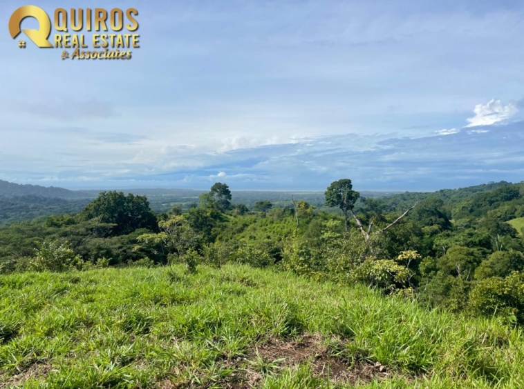 36 Hectare Farm Land near Jaco. Property For Sale, Real Estate