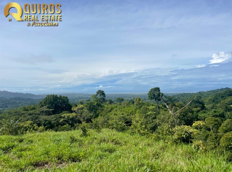 36 Hectare Farm Land near Jaco. Property For Sale, Real Estate