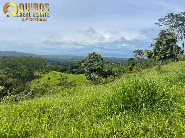 36 Hectare Farm Land near Jaco. Property For Sale, Real Estate