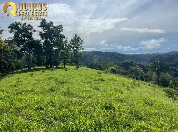 36 Hectare Farm Land near Jaco. Property For Sale, Real Estate