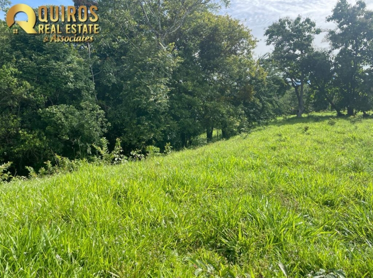 36 Hectare Farm Land near Jaco. Property For Sale, Real Estate