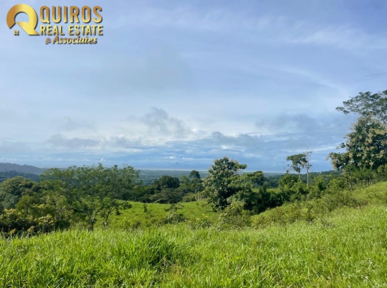 36 Hectare Farm Land near Jaco. Property For Sale, Real Estate