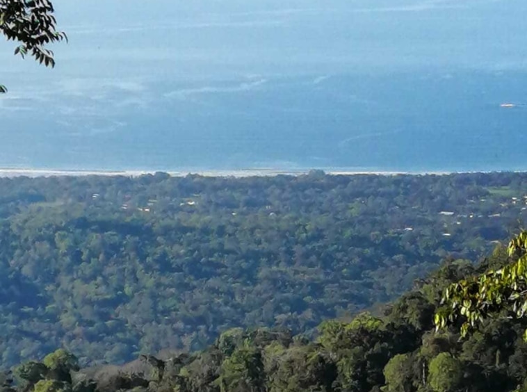 36 Hectares of Ocean View. Property For Sale, Real Estate