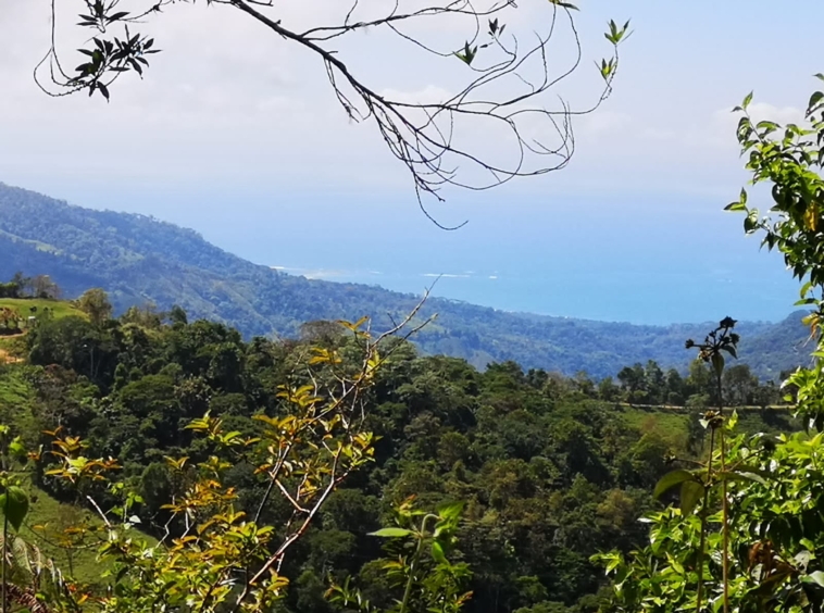 42 Hectares with Epic Ocean Views in Dominical. Property For Sale, Real Estate