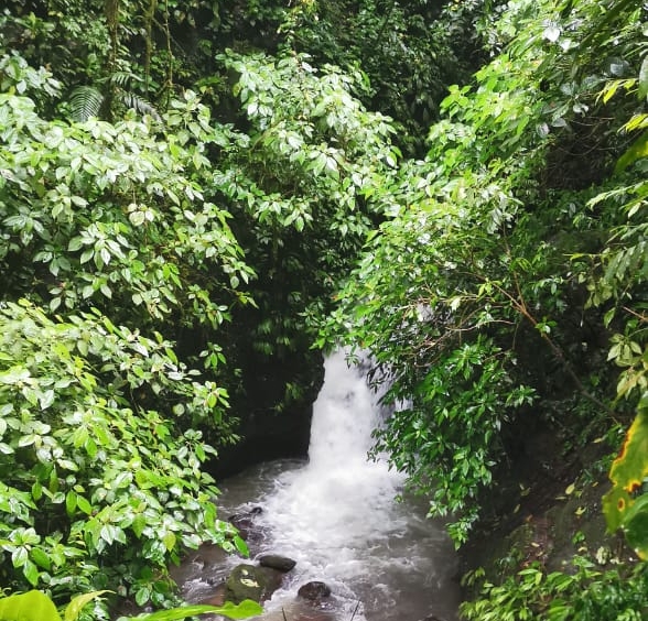 50 Hectare Property with Waterfalls. Property For Sale, Real Estate