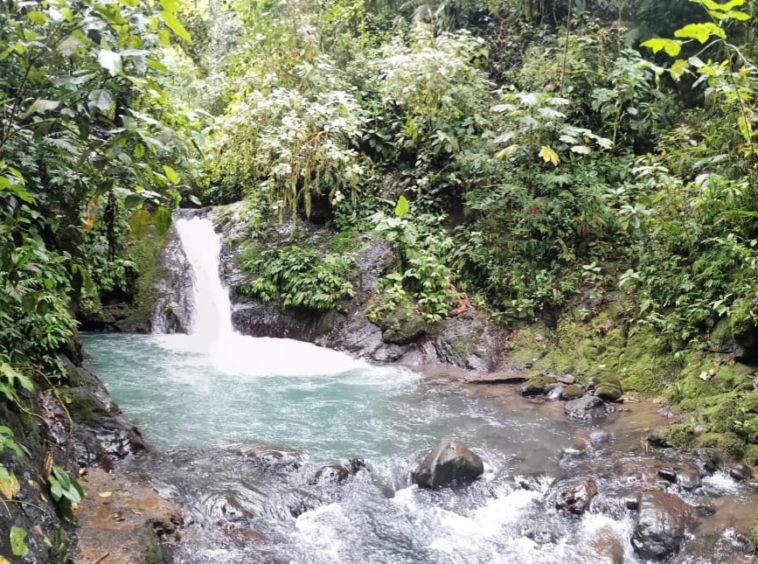 50 Hectare Property with Waterfalls. Property For Sale, Real Estate