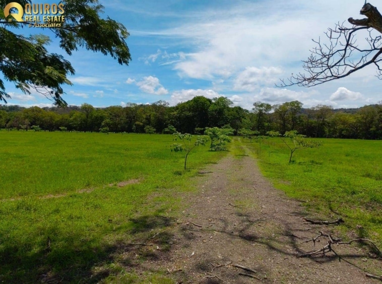 5038m2 Lot in a Gated Community by Nicoya. Property For Sale, Real Estate