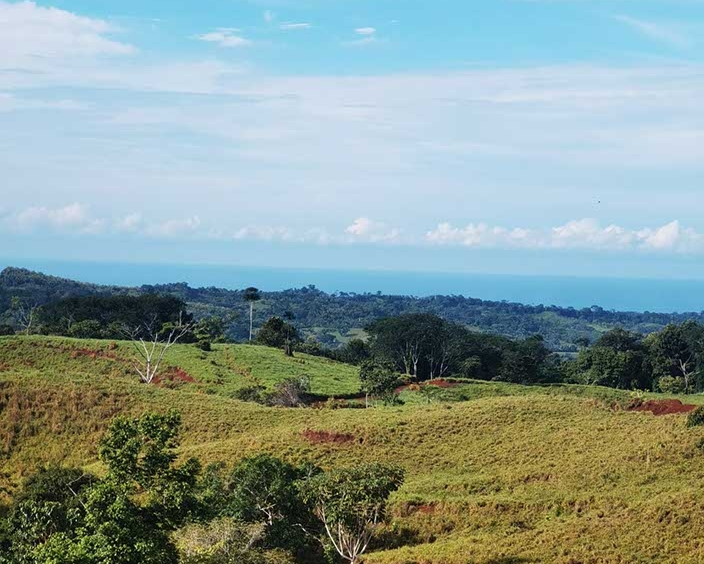 Farm La Ponderoza 113 Hectares For Sale. Property For Sale, Real Estate