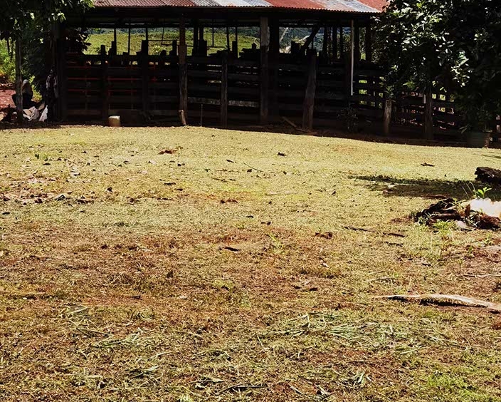 Farm La Ponderoza 113 Hectares For Sale. Property For Sale, Real Estate