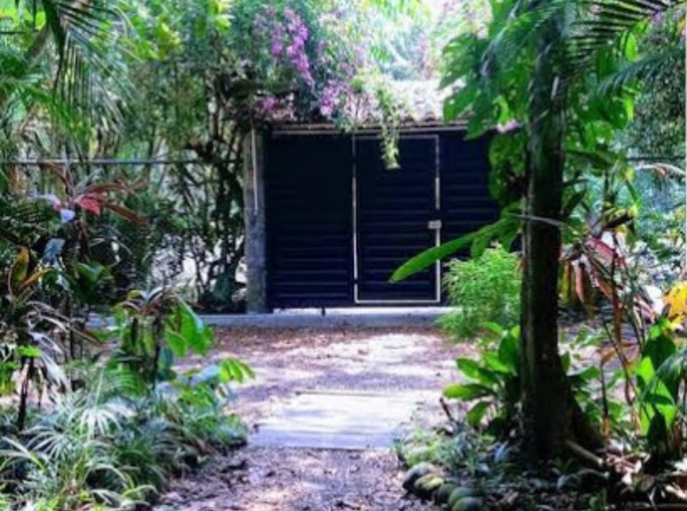 Jungle House in Jaco. Property For Sale, Real Estate