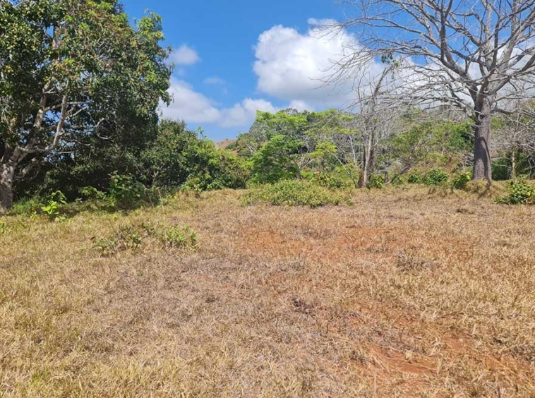 Ocean View Lot in Playa Hermosa. Property For Sale, Real Estate