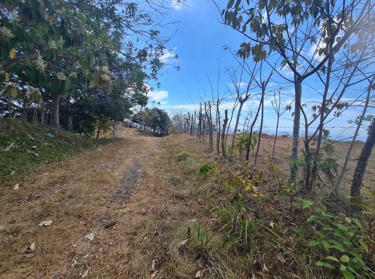 Ocean View Lot in Playa Hermosa. Property For Sale, Real Estate