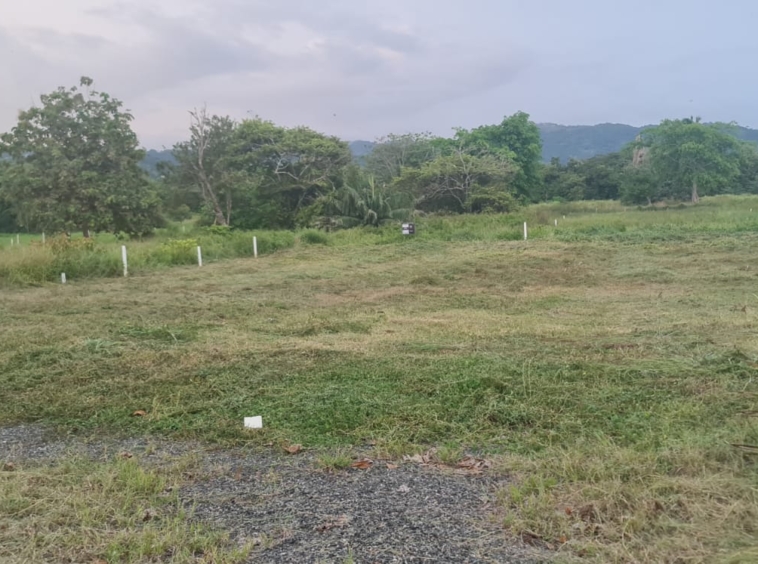 Titled Oceanfront Lots in Playa Hermosa. Property For Sale, Real Estate
